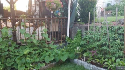 24 Manner Ave, Outwater NJ  07026-1410 exterior