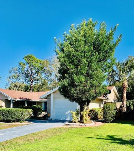 4246 Woodsville Dr, New Port Richey, FL 34652-5748