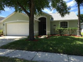 2009 Wrangler Dr, Brandon, FL 33511-2112