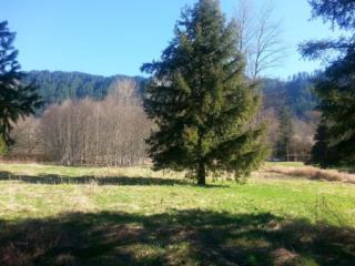 4164 Linnell Rd, Glacier, WA 98244-9239