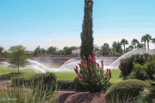 22208 San Ramon Dr, Sun City AZ exterior