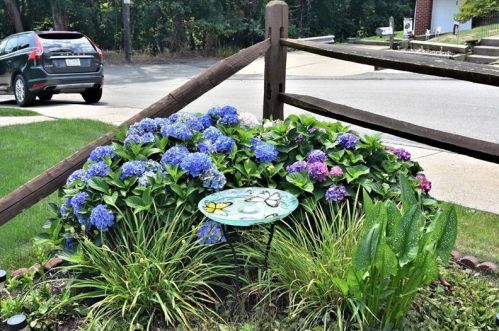 2329 Clinton St, Whitaker PA  15120-2662 exterior