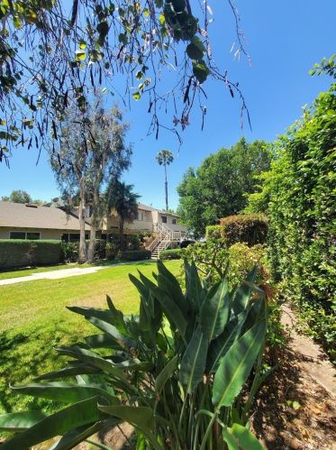 125 Palmdale Ave, Orange CA  92865-4351 exterior