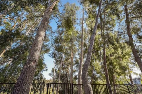 5797 Menorca Dr, San Diego CA  92124-1105 exterior