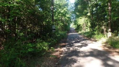 3-96 County Road 3001, Newton, TX 75966