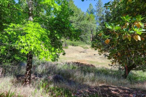 17704 Norlene Way, Grass Valley, CA 95949-7341