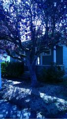 5038 Puget Sound Ave, Tacoma WA  98409-4443 exterior