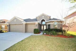 8556 Creedmoor Ln, New Port Richey FL  34654-4620 exterior
