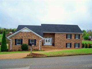 415 Lakeshore Dr, Lexington, TN 38351-1226