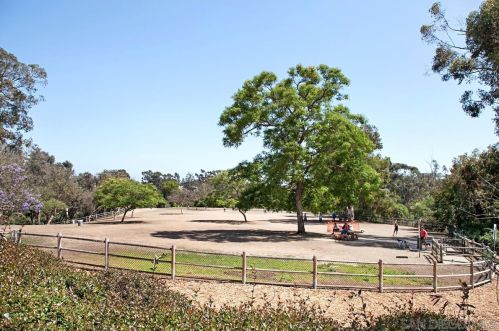 3928 Iowa St, San Diego CA 92104-2606 exterior