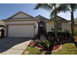 13808 Sigler St, Riverview, FL 33579-2326