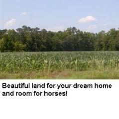1720 Forlines Rd, Winterville, NC 28590-9872