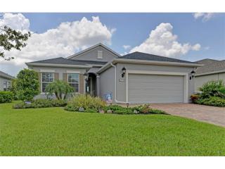 11832 Fennemore Way, Parrish, FL 34219-1234
