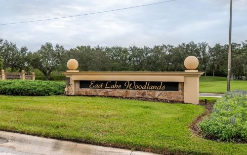 284 Cypress Ln, Oldsmar FL  34677-2135 exterior