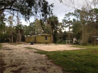 24613 Comet St, Xmas, FL 32709-9544