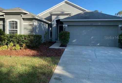 7054 Moss Ledge Run, Land O Lakes, FL 34637-7549
