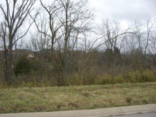 1073 Amberley Way, Richmond, KY 40475-8849