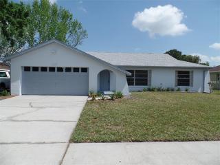 12737 Idaho Woods Ln, Orlando, FL 32824-8674