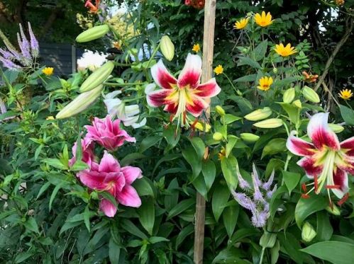 3617 Lenox St, Milwaukee WI 53207-5240 exterior