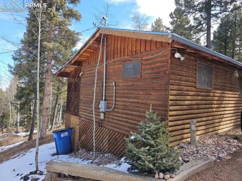 866 Jolly Rogue Dr, Divide, CO 80814-9517