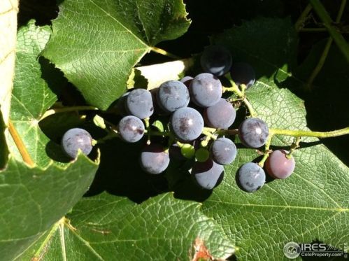 3570 Cloverleaf Dr, Boulder CO  80304-1520 exterior