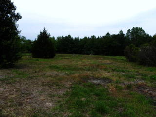 975 Norwayne School Rd, Fremont, NC 27830-8864