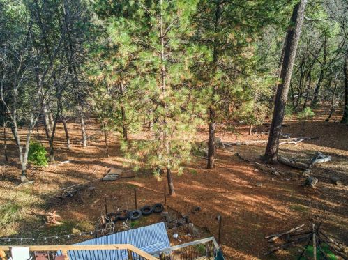6301 Grn Rdg Dr, Michigan Bluff CA  95631-9682 exterior