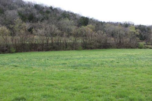 2387 Auburntown Rd, Woodbury, TN 37190-5265