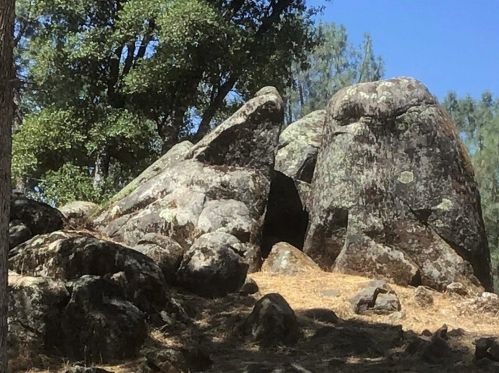 14804 Oak Ridge Rd, Lake Wildwood CA  exterior