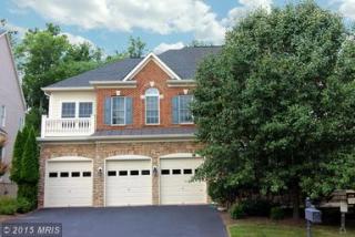 18783 Thomas Lee Way, Leesburg, VA 20176-8225