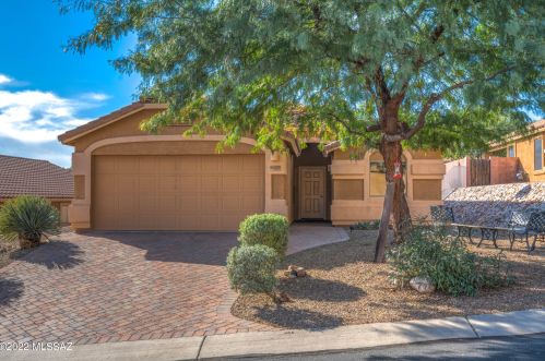 61033 Forelock Pl, Tucson, AZ 85739-1999