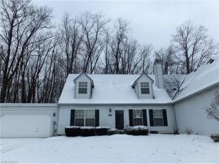 2839 Tinkers Ln, Twinsburg, OH 44087-1886