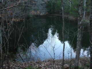 9560 Highway 96, Franklin, TN 37064-9414