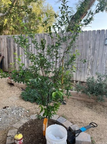 4275 Mill Creek St, Riverside, CA 92509-6650