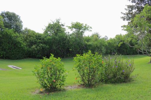 14144 Whitecap Ave, Port Richey FL  34667-8052 exterior