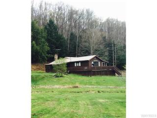 738 Butternut Brook Rd, Portville, NY 14770-9615