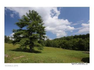 24 Botanical Trl, Weaverville, NC 28787-8919