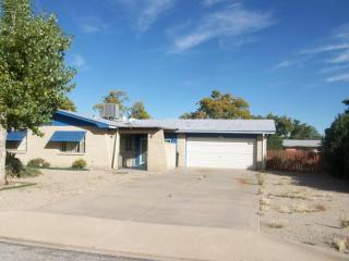 1007 Justin St, Sunizona, AZ 85625-4035