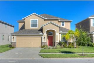 13154 Royal Pines Ave, Riverview, FL 33579-9321