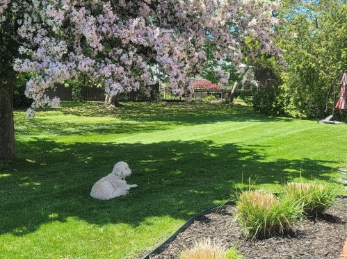 659 Pequot Ave, United States Coast Guard Ac CT  06320-4230 exterior