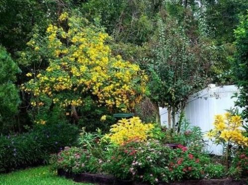 9320 Black Thorn Loop, Land O Lakes FL  34638-2530 exterior