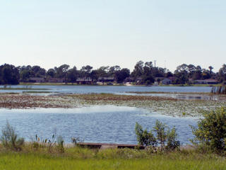 1030 Whitewood Dr, Deltona, FL 32725-7062