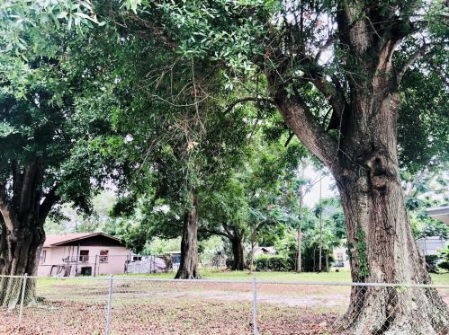 1645 Avenue C, Winter Haven FL  33881-4432 exterior