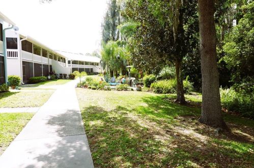 1955 Abrico Dr, Lutz FL  33558 exterior