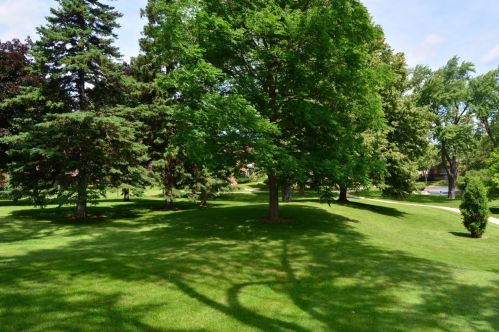8605 Servite Dr, Milwaukee WI  53223-2539 exterior
