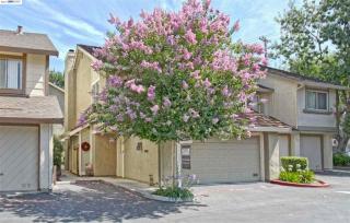 569 Union Ave, Campbell, CA 95008-5009