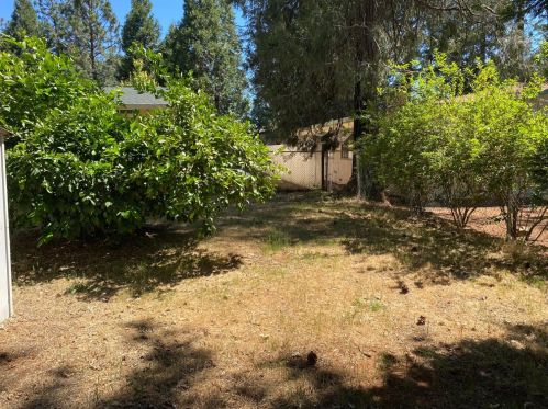 14159 Skyway, Nimshew CA  95954-9471 exterior