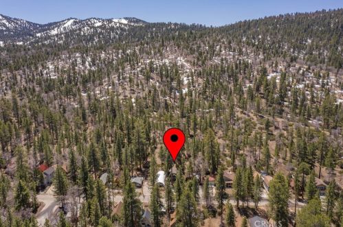 42569 Willow Ave, Big Bear CA  exterior