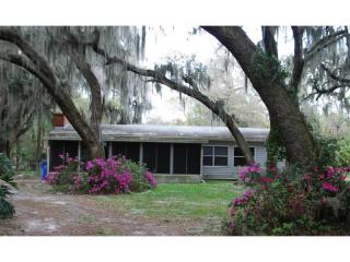 2250 Holden Ln, Lithia, FL 33547-4295