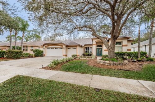 3857 Siena Ln, Palm Harbor, FL 34685-2679